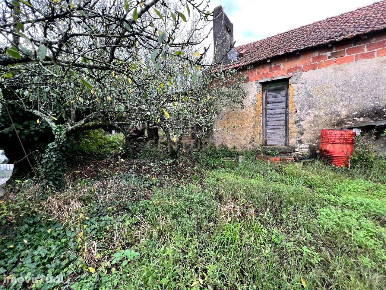 Ruína e terreno para venda na zona de Pocariça, Leiria - Grande imagem: 2/8