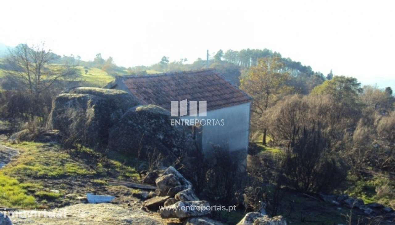 Venda Terreno, Folhada, Marco de Canaveses - Grande imagem: 3/19