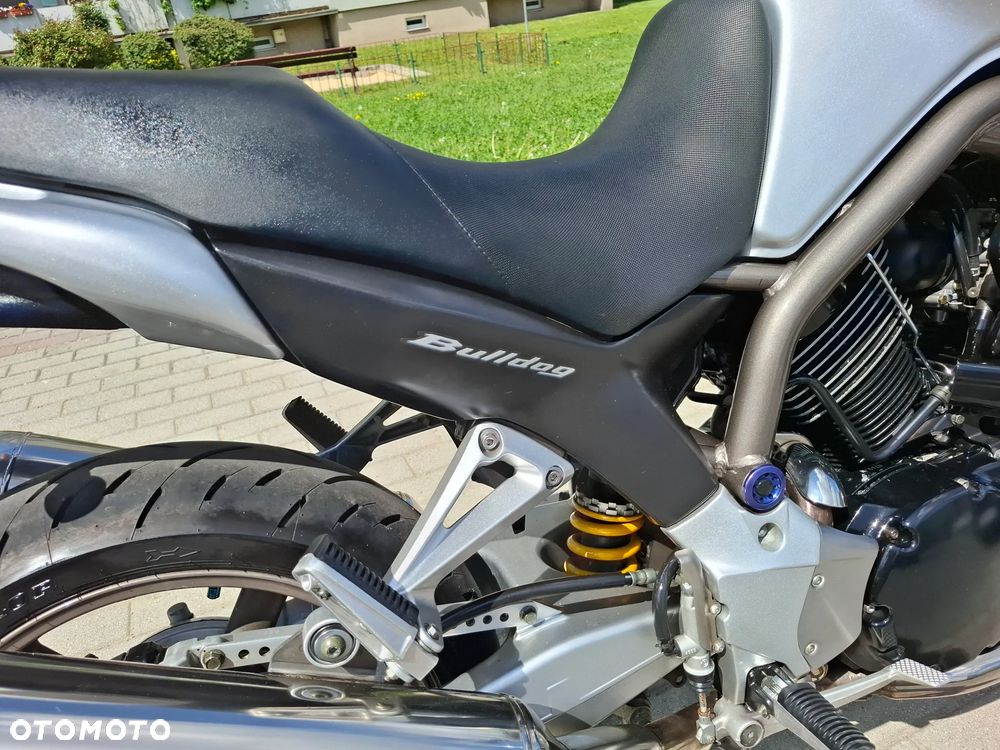 Yamaha Bulldog - 31