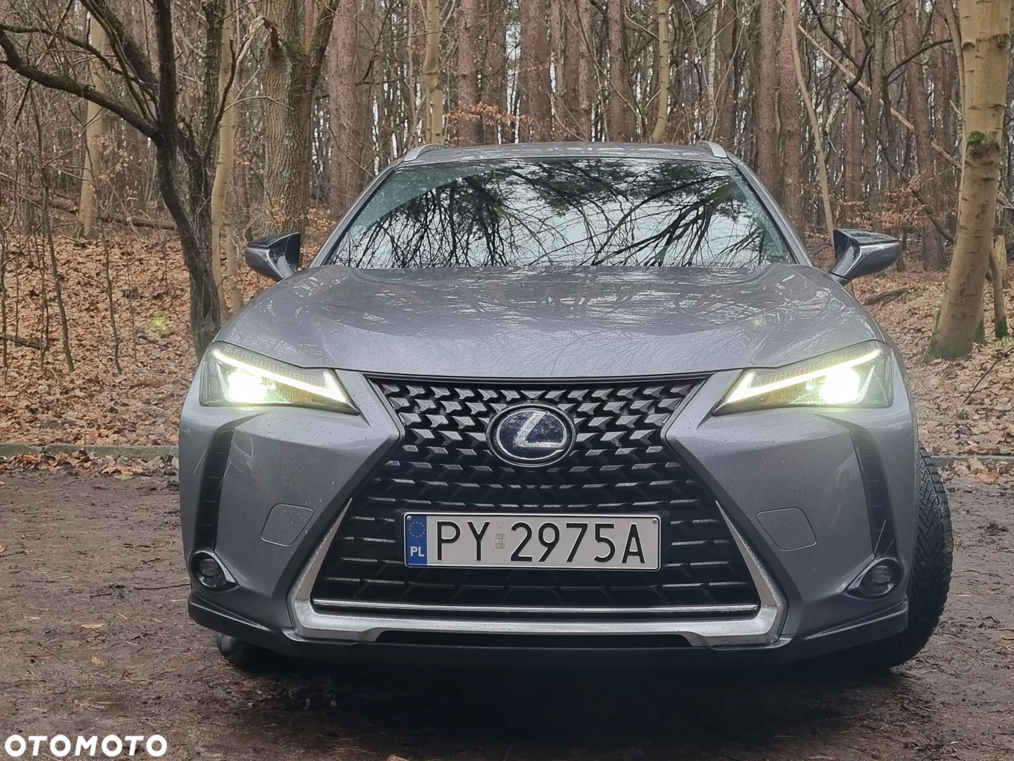 Lexus UX - 2
