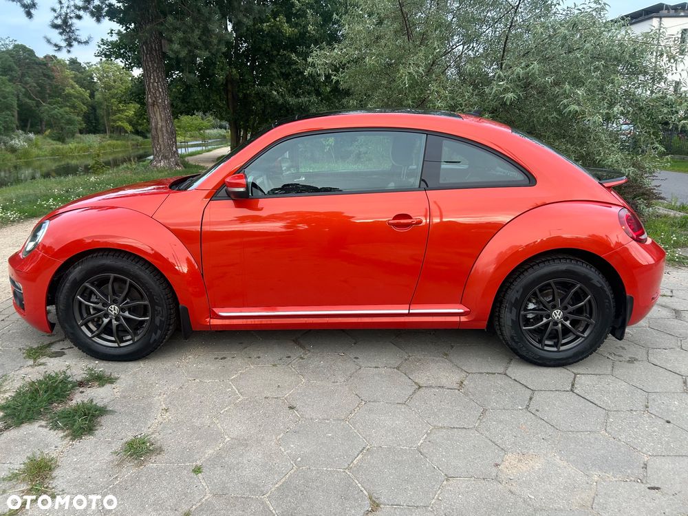 Volkswagen Beetle - 33