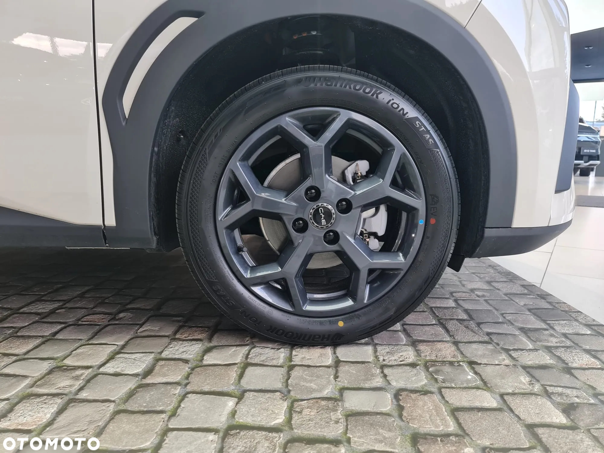 BYD Dolphin Surf - 14