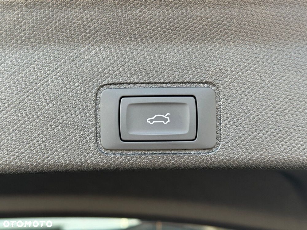 Cupra Terramar - 13
