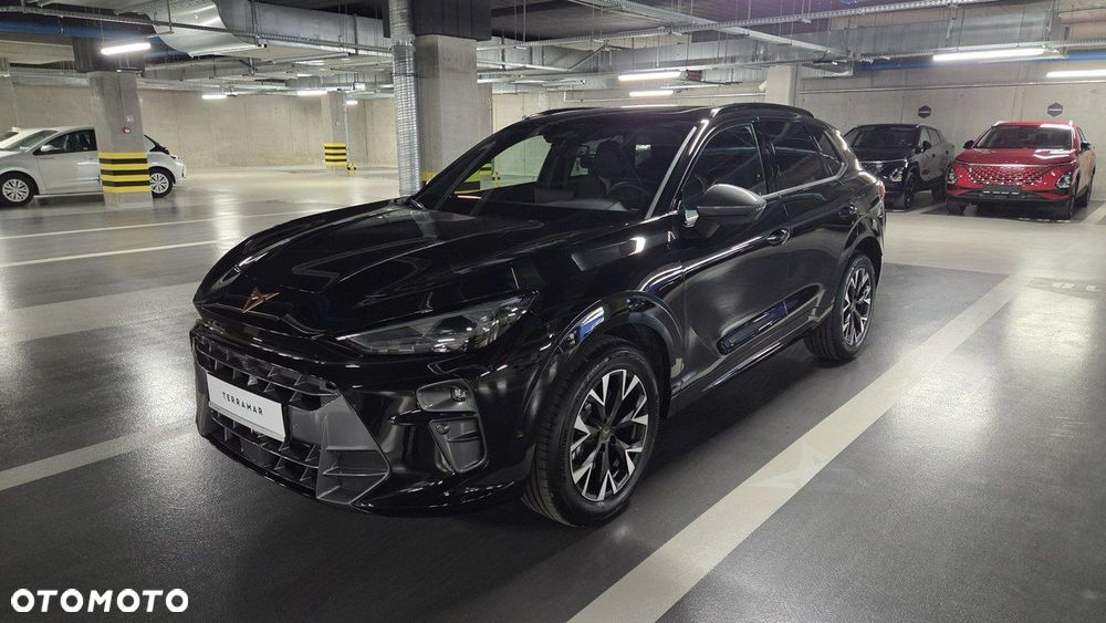 Cupra Terramar - 8