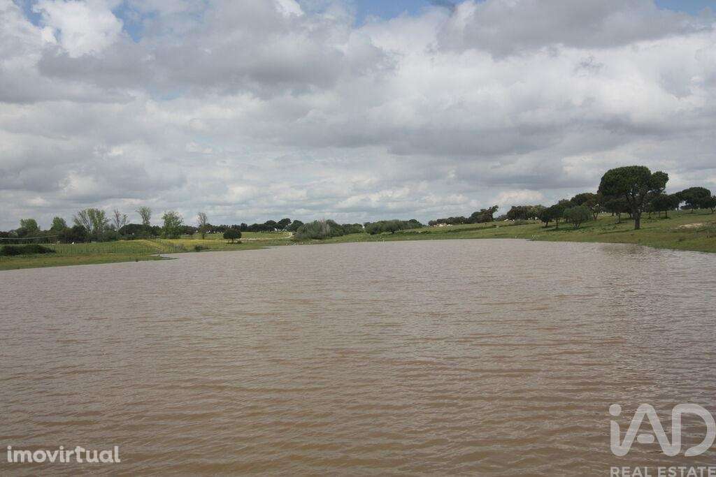 Terreno para construção T16 em Poceirão e Marateca de 20903,00 m2 - Grande imagem: 5/30
