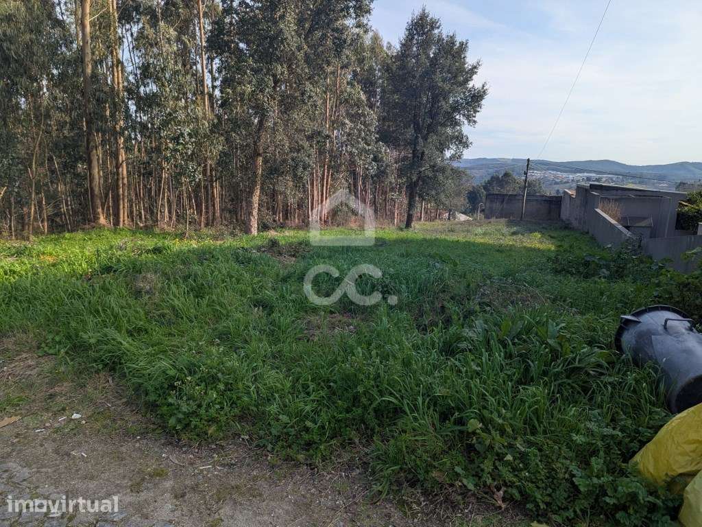 Terreno rústico, para venda com 10.290 m2 em Lousado, Vila Nova de ... - Grande imagem: 5/13
