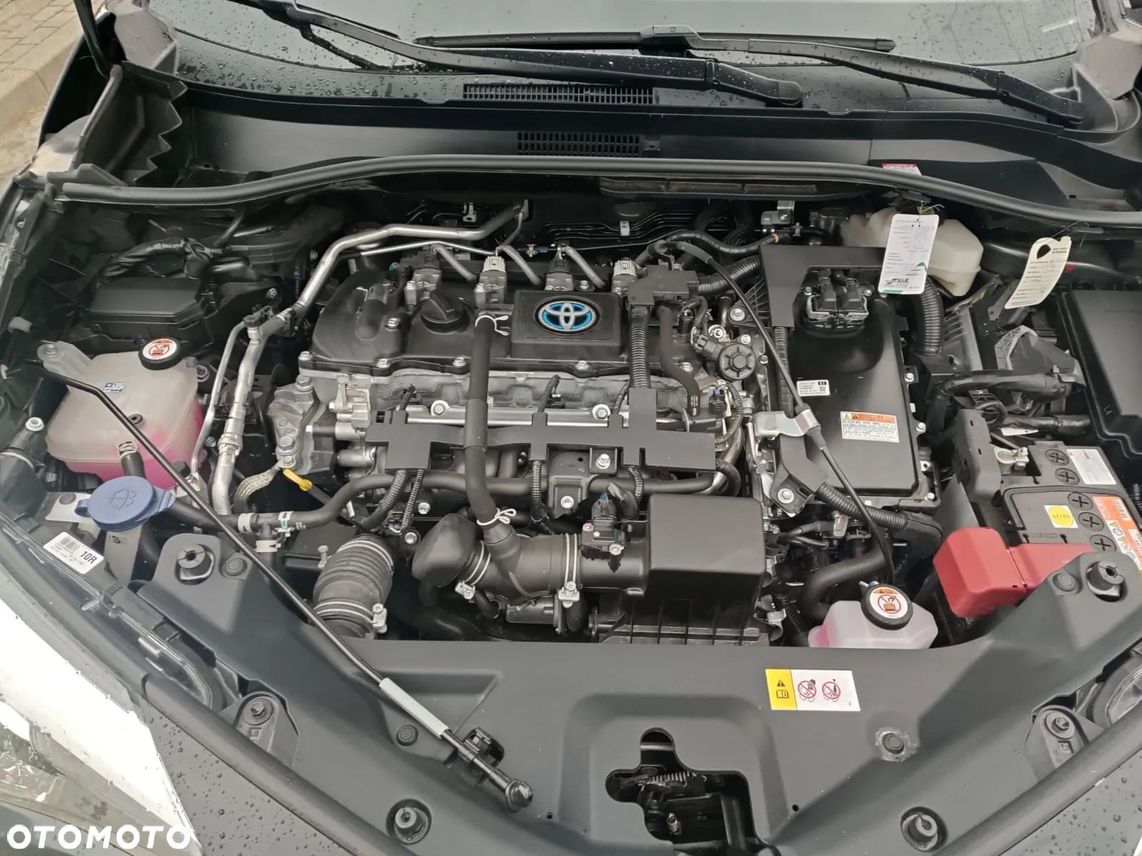 Toyota C-HR 1.8 Hybrid Executive - 13