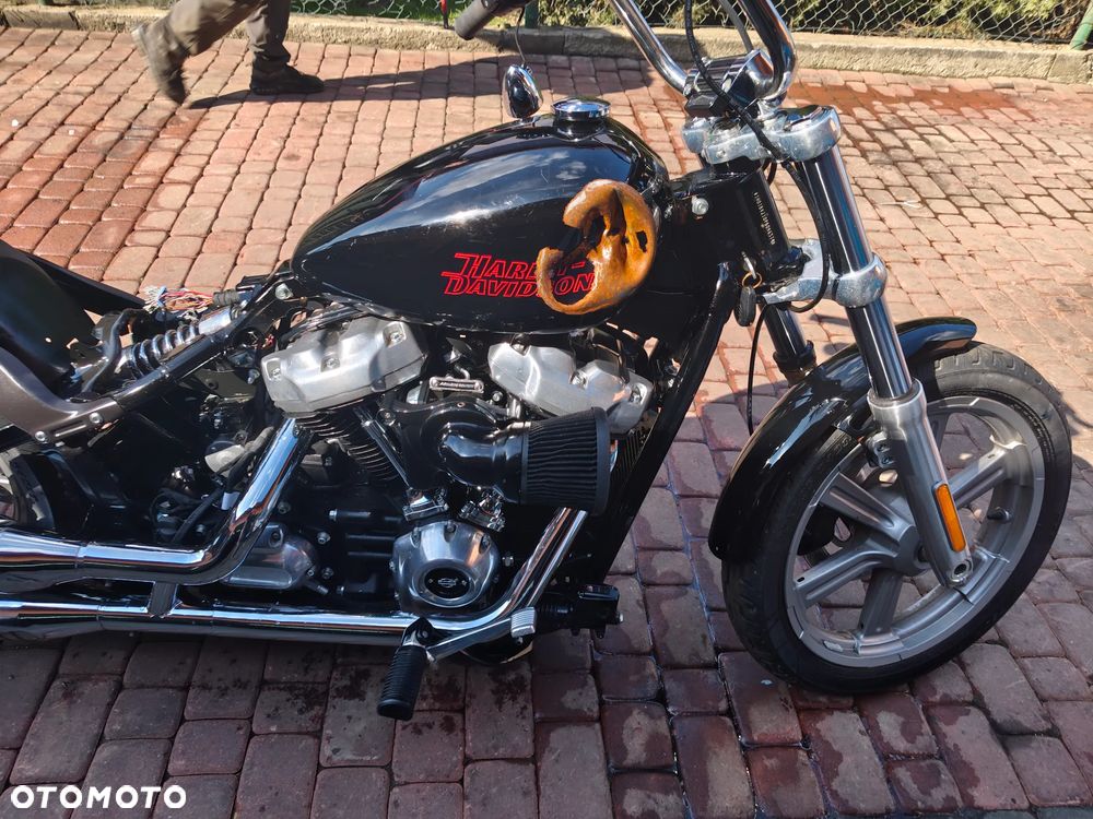 Harley-Davidson Softail Standard - 2