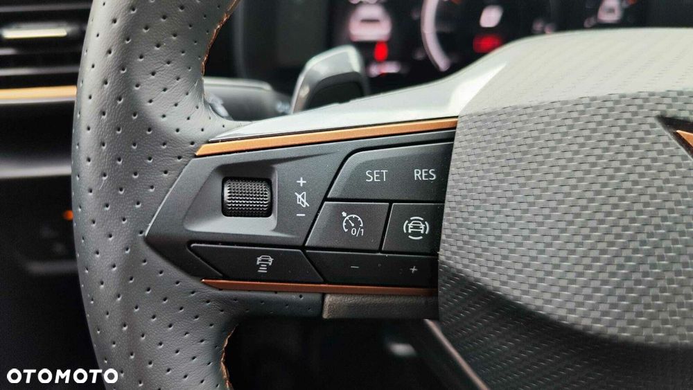 Cupra Formentor 2.0 TDI 4Drive DSG - 17