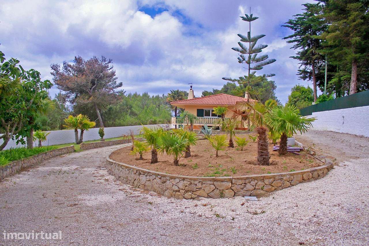MORADIA TERREA T4+2 | PISCINA | TERRENO 2.000 m2 | CASCAIS  | JARDIM | - Grande imagem: 2/33