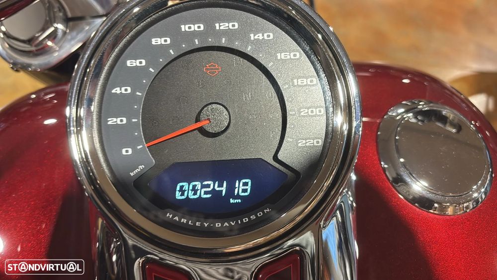 Harley-Davidson Fat Boy 120th Anniversary - 14