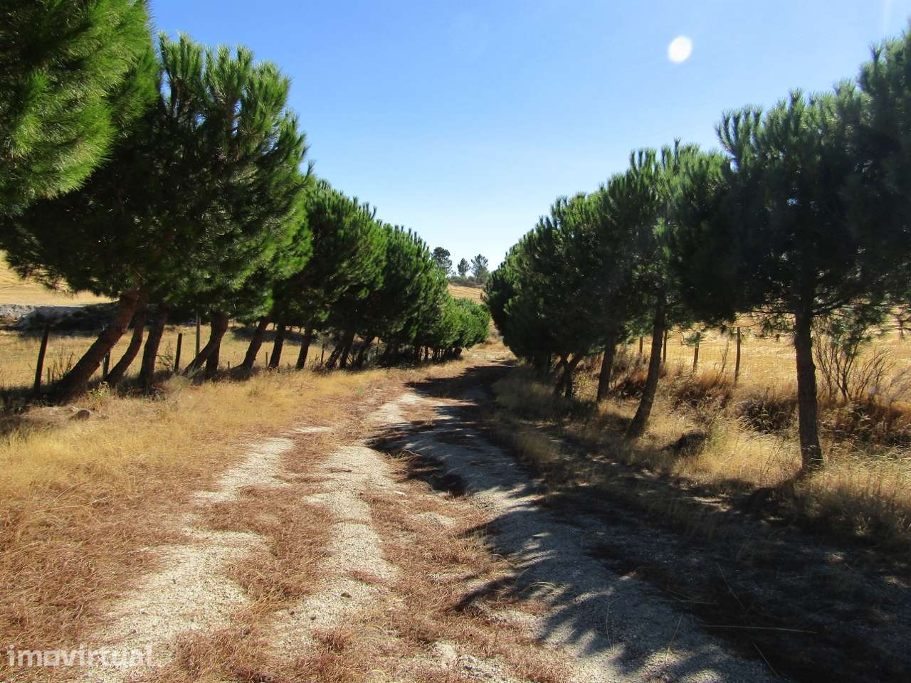 Quinta 10 Hectares com 2 Lagos e Vistas Panorâmicas - Grande imagem: 5/49