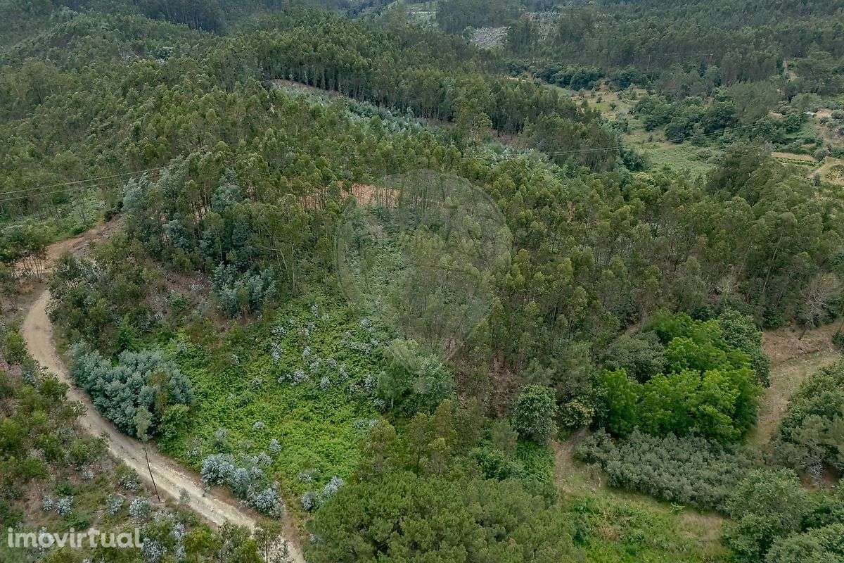 Terreno  para venda - Grande imagem: 5/9