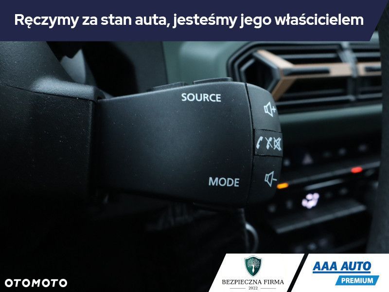 Dacia Spring - 18