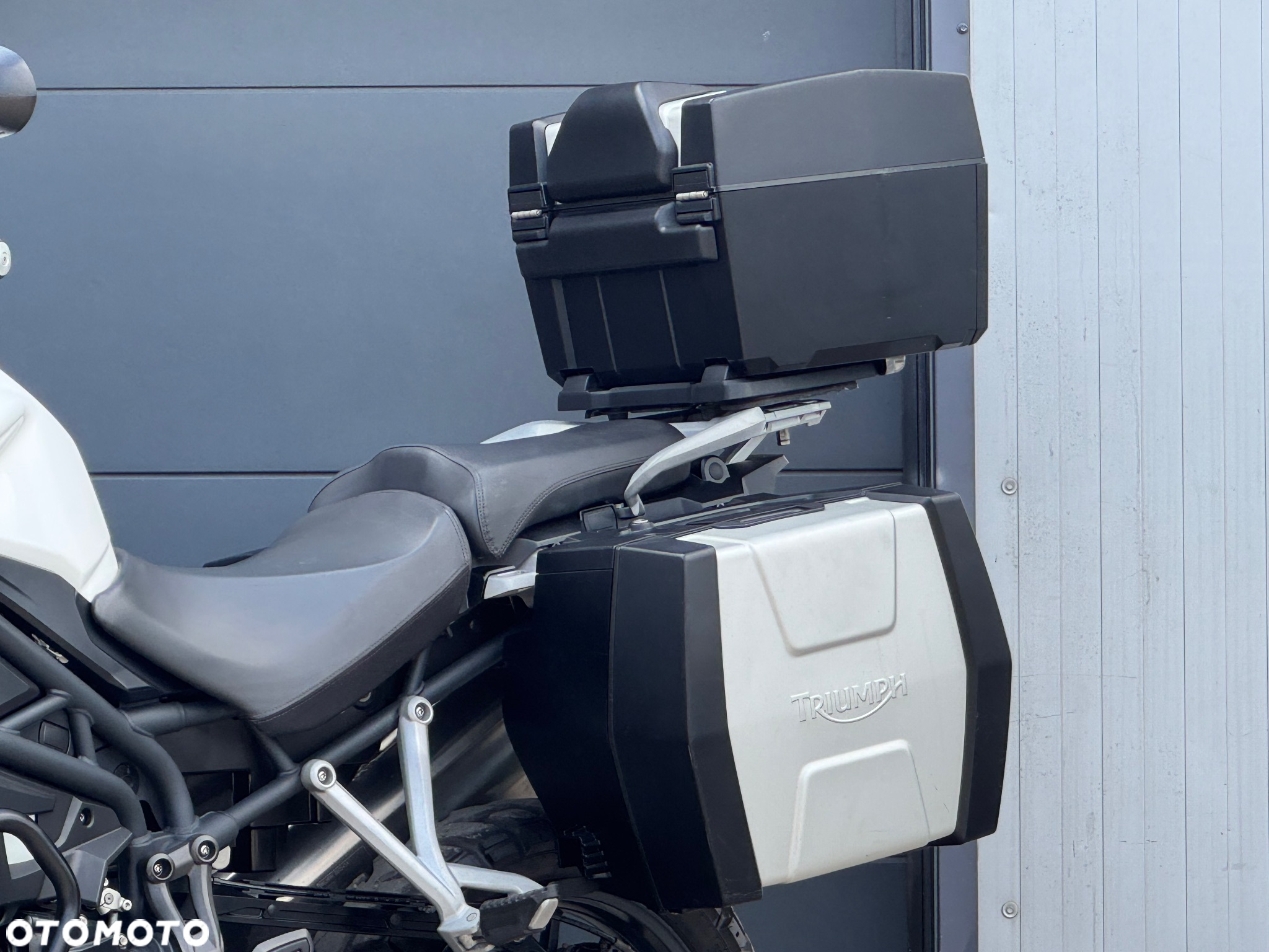 Triumph Tiger - 16