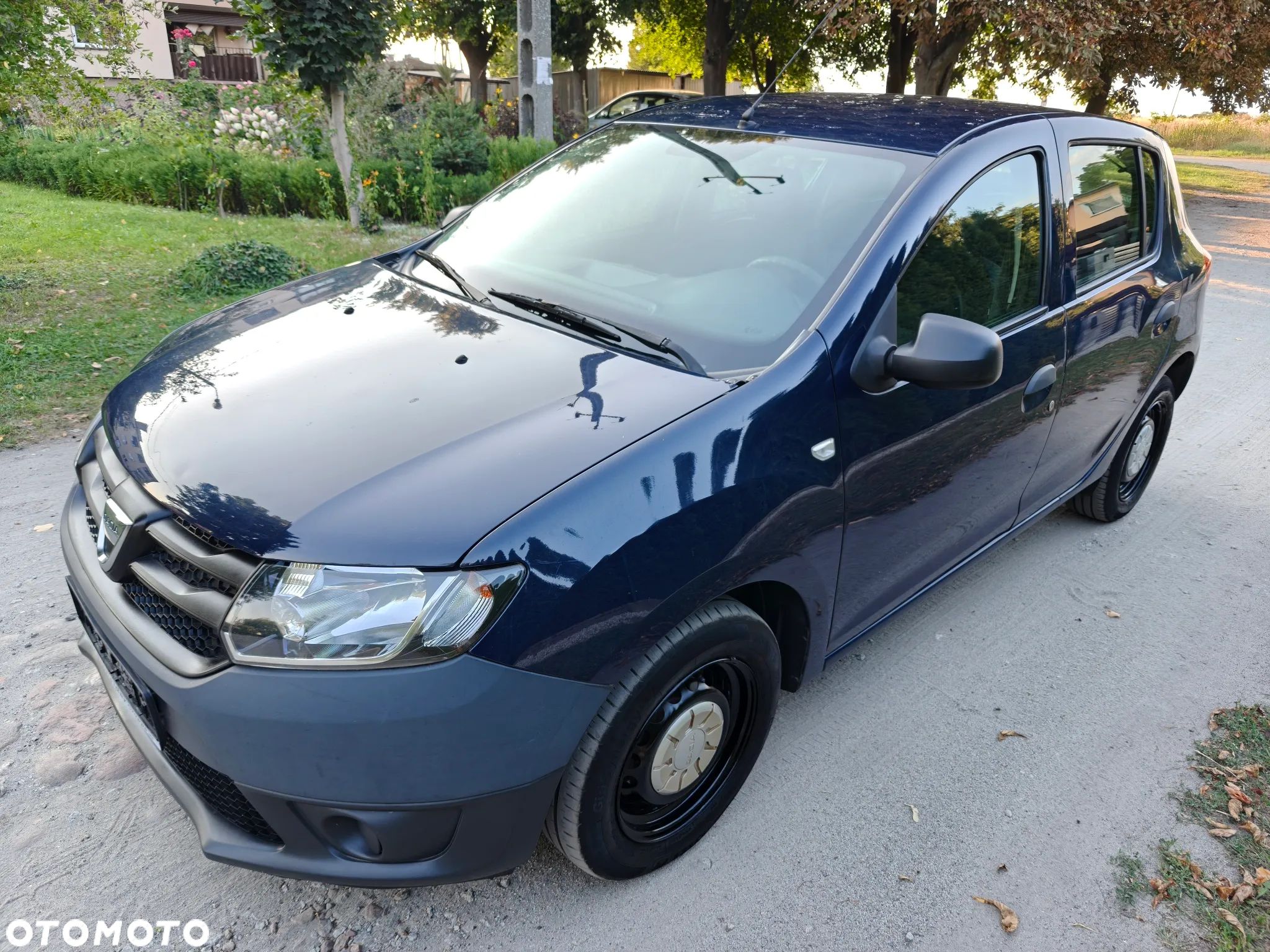 Dacia Sandero - 1
