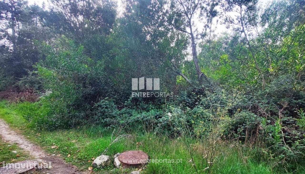 Venda de terreno agrícola, Chafé, Viana do Castelo - Grande imagem: 3/30
