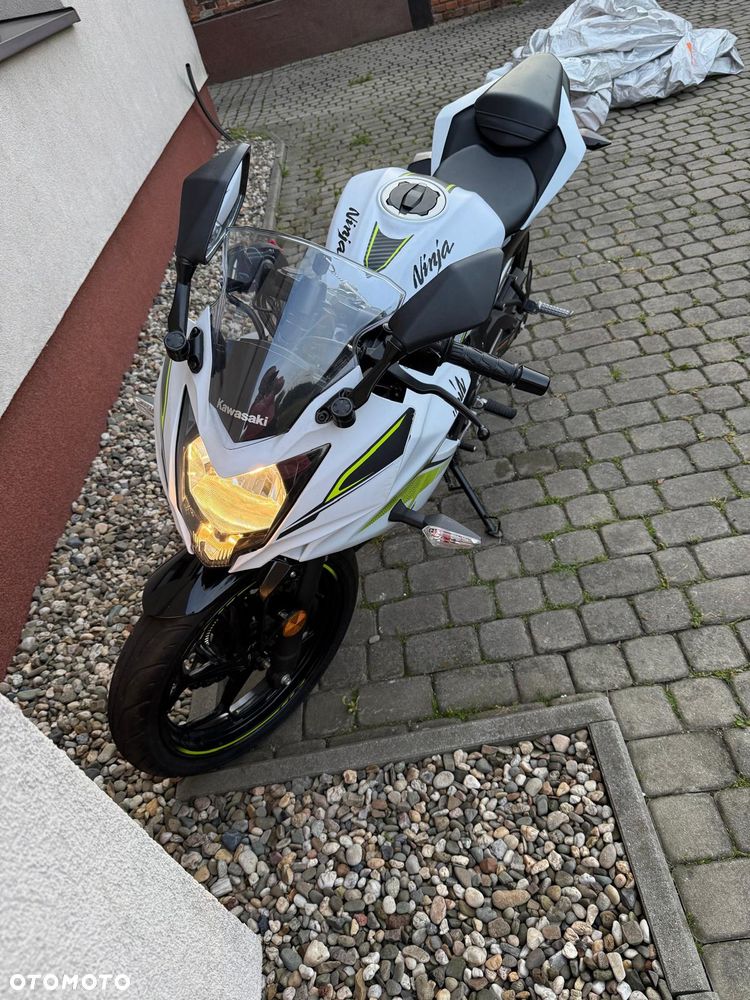 Kawasaki Ninja - 3