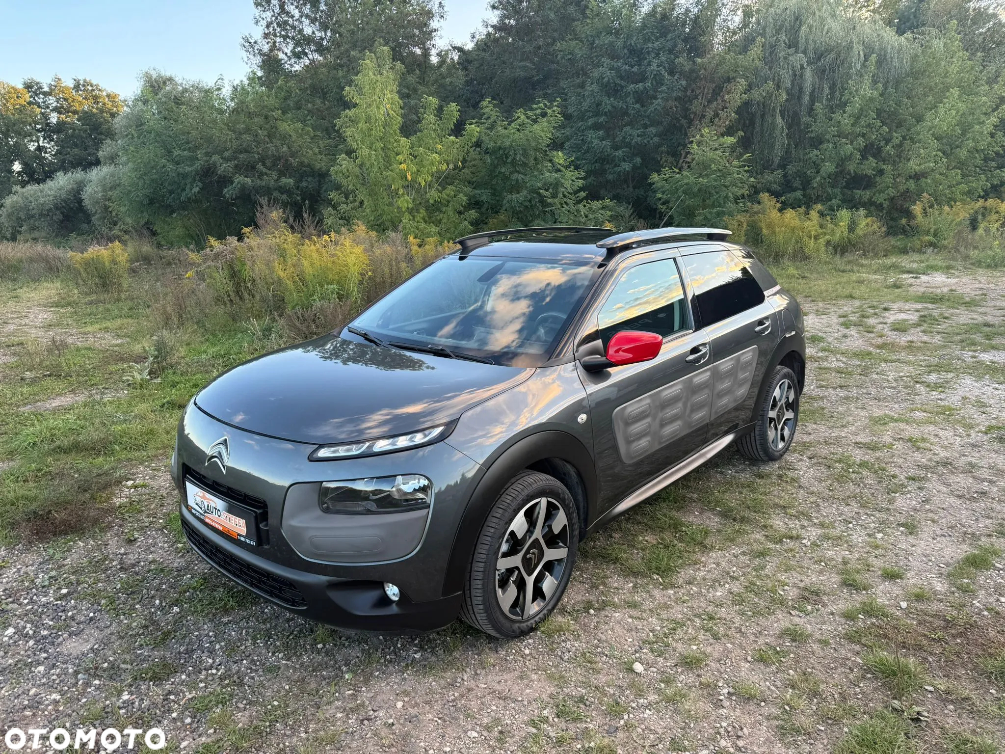 Citroën C4 Cactus BlueHDi 100 Stop&Start Live - 19