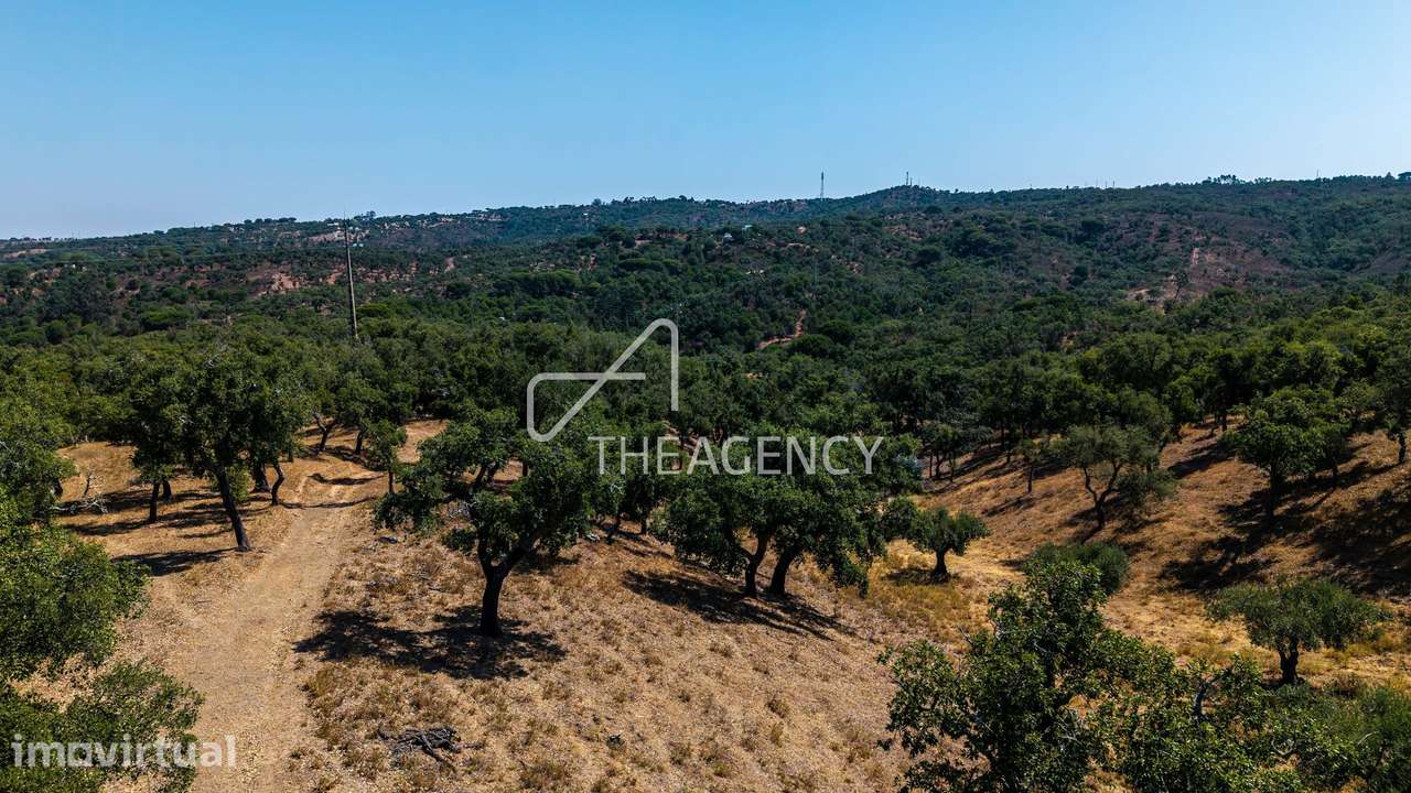 Monte alentejano perto de Melides, Comporta - ampliável até 500m² - Grande imagem: 4/19