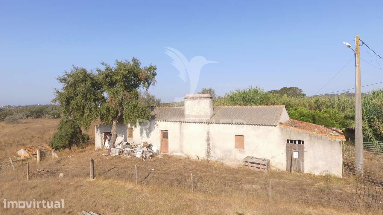 Terreno de 3,5 hectares com ruina a poucos minutos de Melides - Grande imagem: 2/11