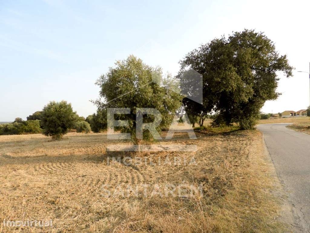 Terreno com Projecto Aprovado para Lar