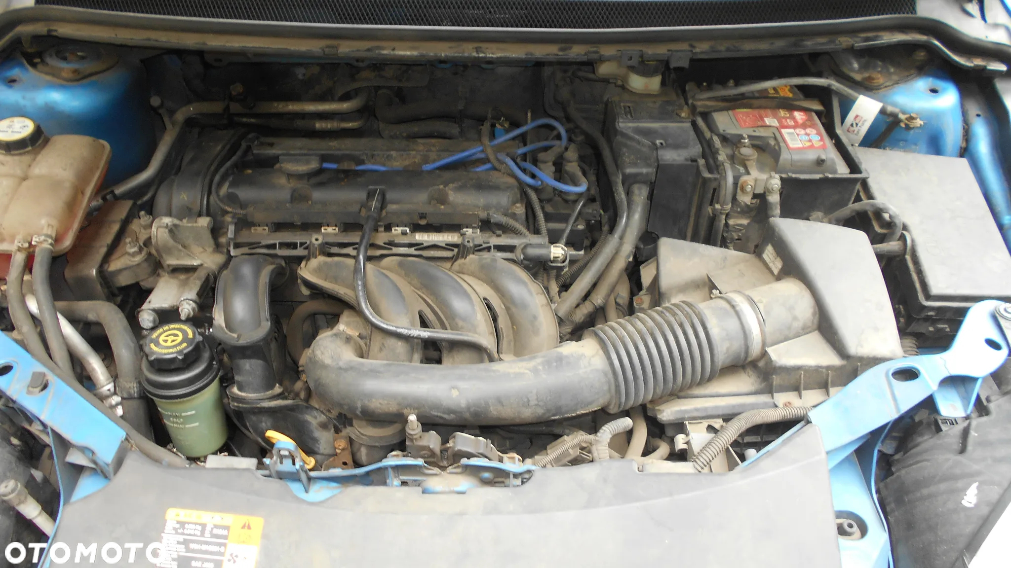 Ford Focus 1.6 Trend - 8