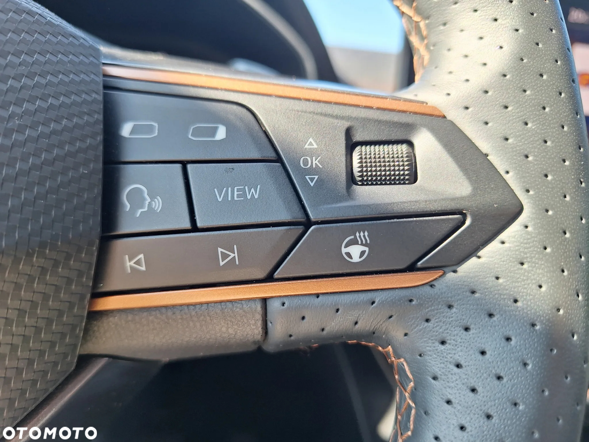 Cupra Formentor 1.5 TSI DSG - 21