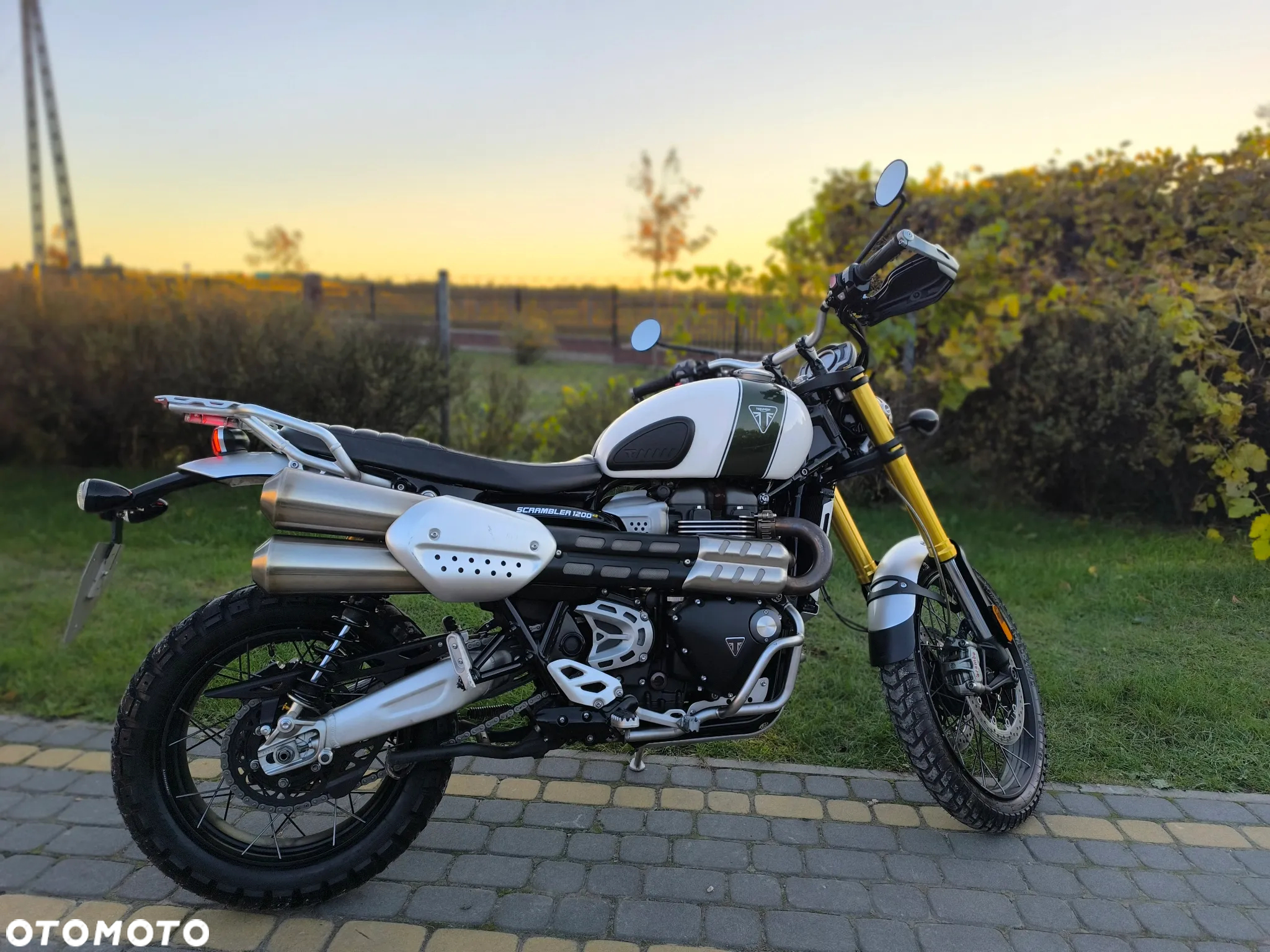 Triumph Scrambler - 2