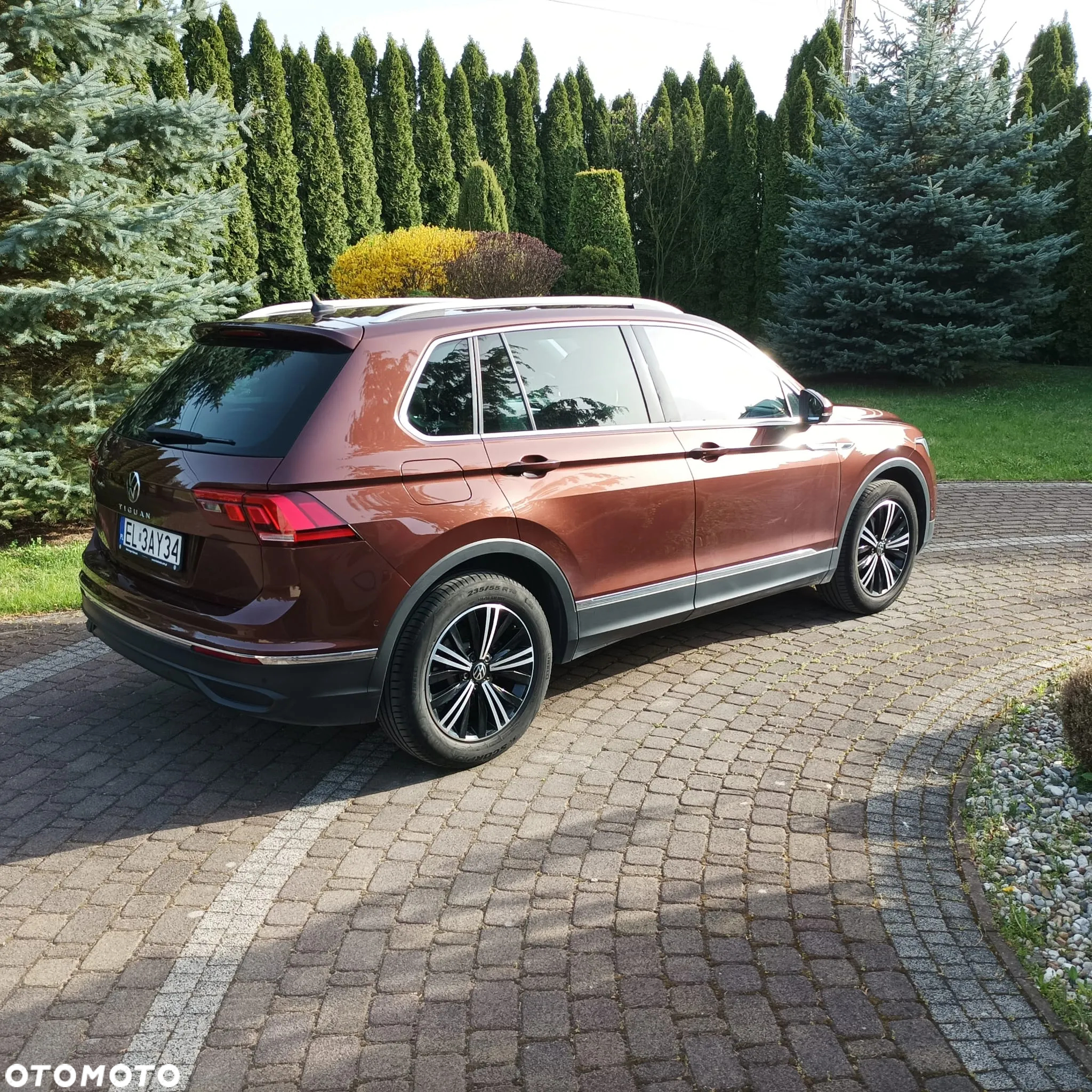 Volkswagen Tiguan 1.5 TSI EVO Active DSG - 6