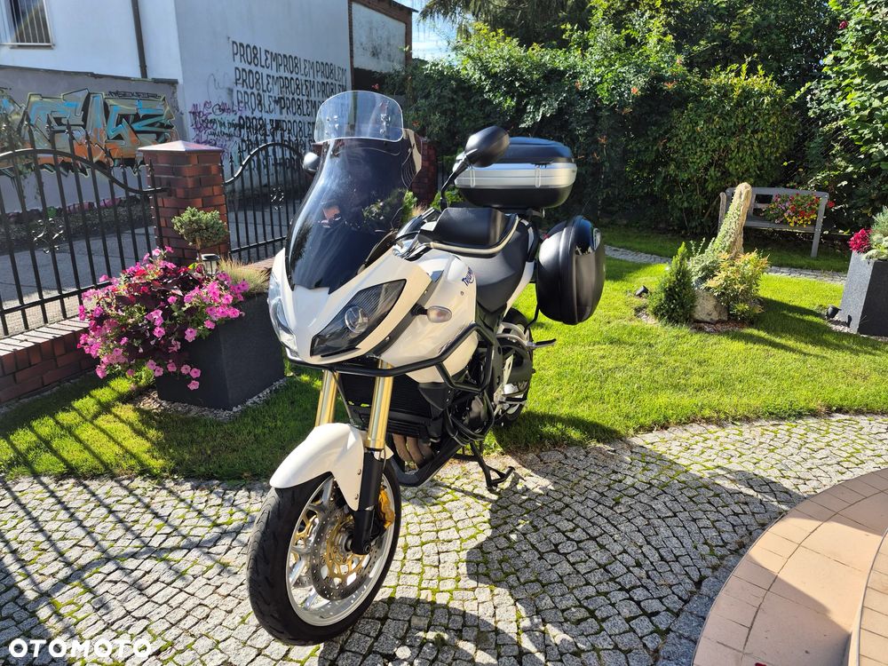 Triumph Tiger - 24