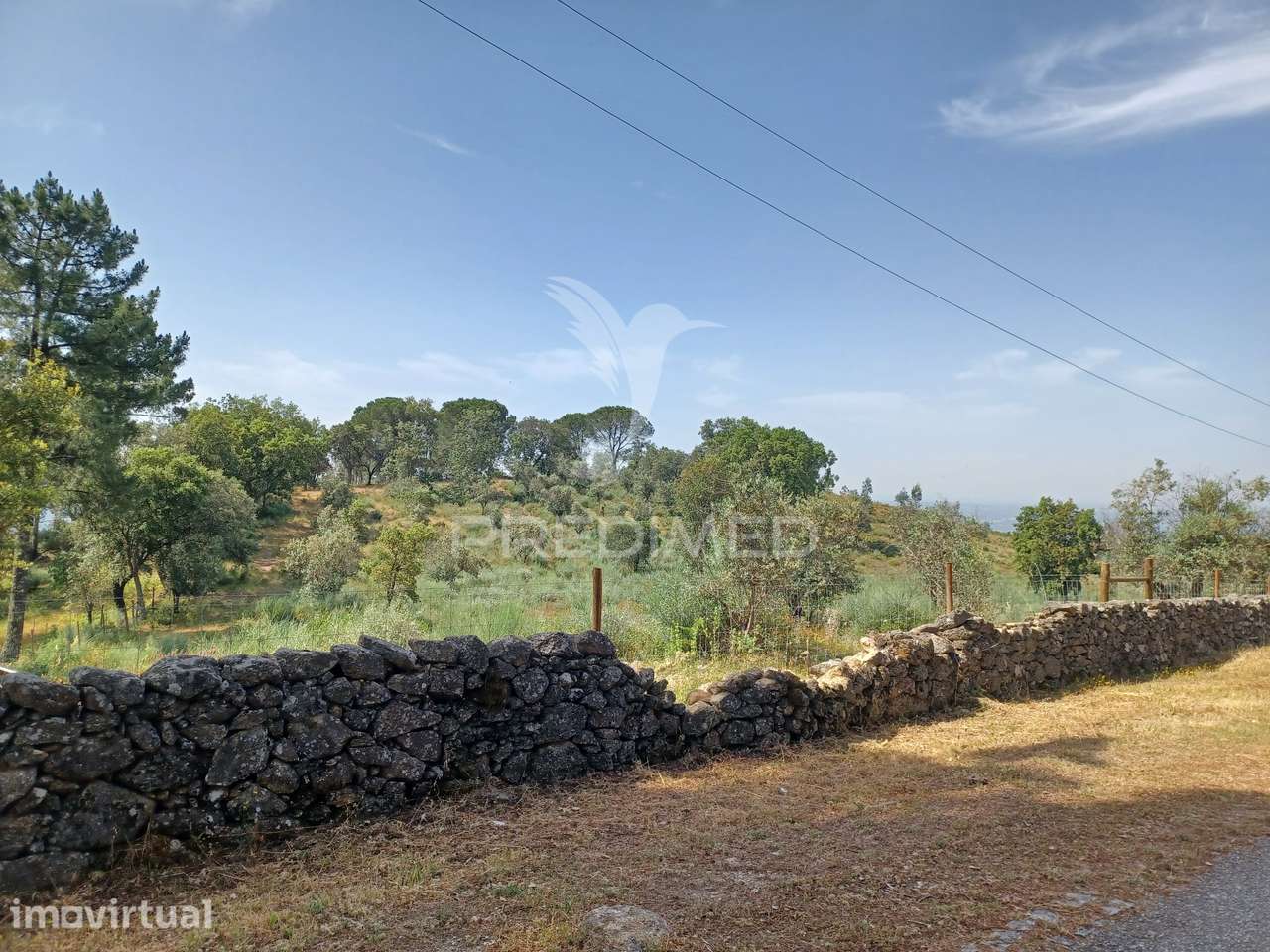 TERRENO RÚSTICO 5,425 HA - Portalegre - Grande imagem: 2/5