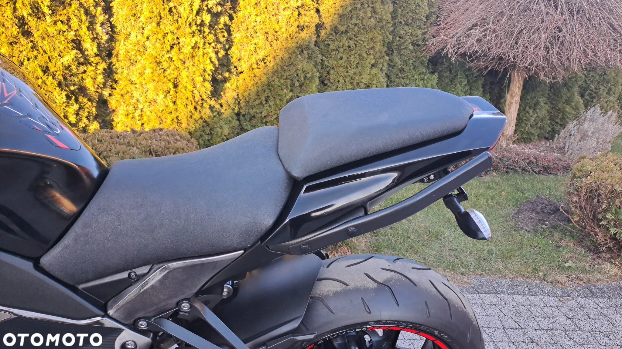 Kawasaki Z - 35