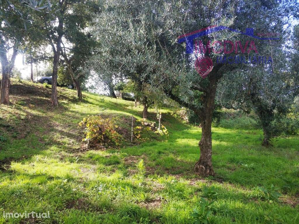 Terreno com 1790m2 em Pedrógão Grande - Grande imagem: 4/14