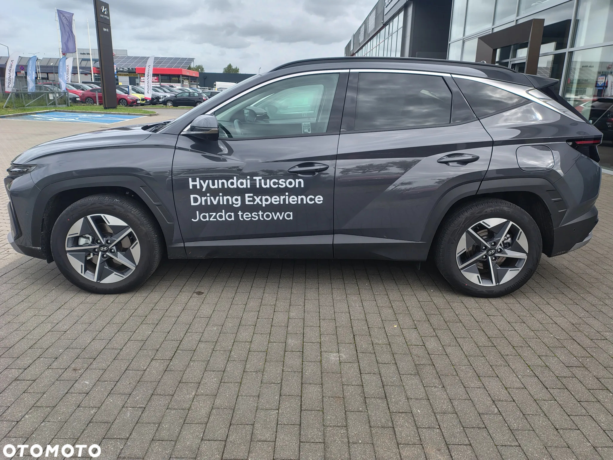 Hyundai Tucson 1.6 T-GDi PHEV Executive 4WD - 4