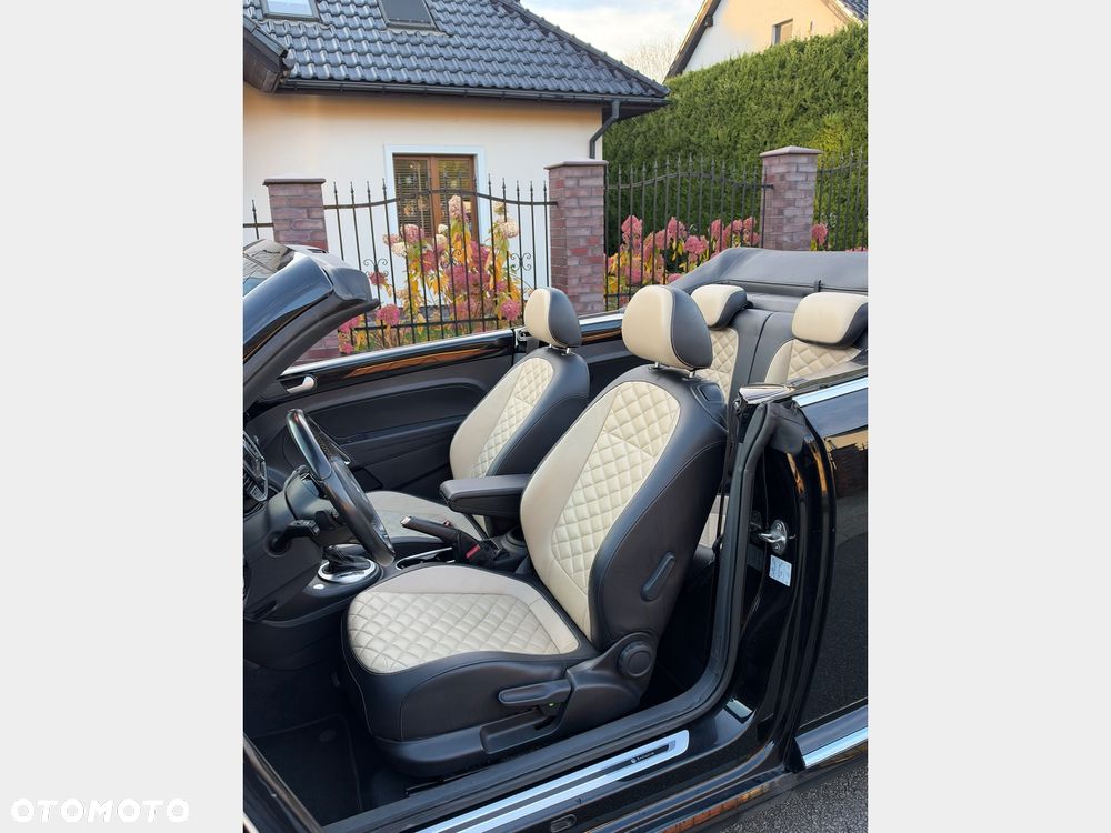 Volkswagen Beetle - 19
