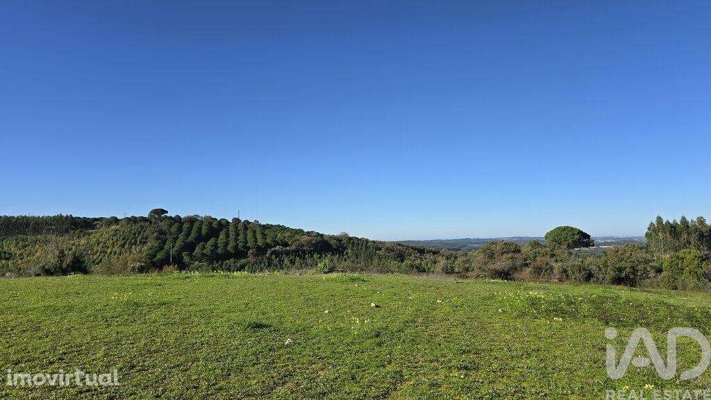 Terreno para construção em Lamas e Cercal - Grande imagem: 3/6
