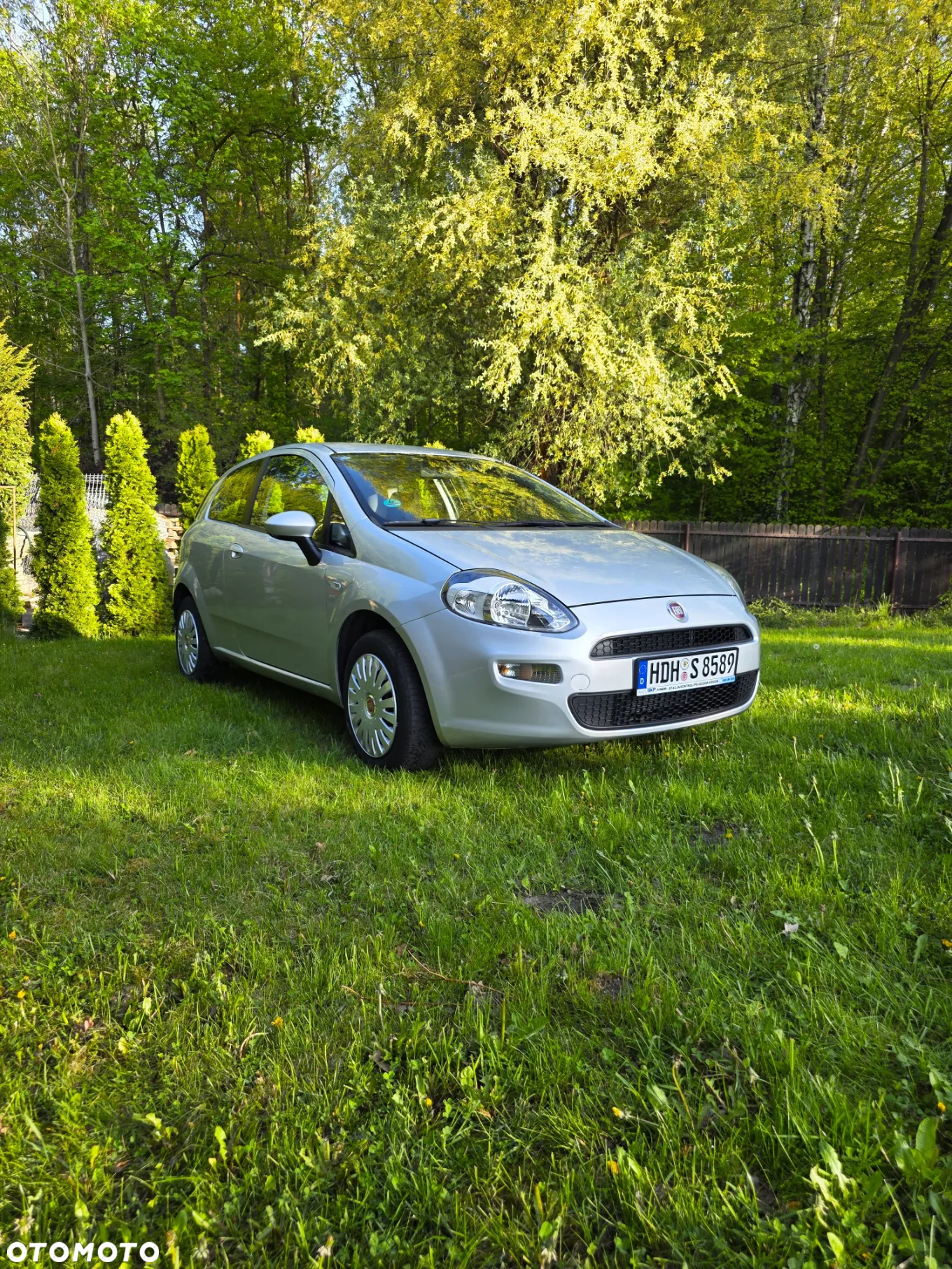 Fiat Punto - 11