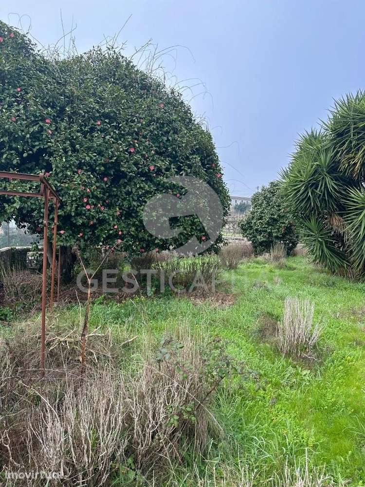 Casa de Quintã – Solar brasonado histórico com vinha em Marco de Canav - Grande imagem: 5/19