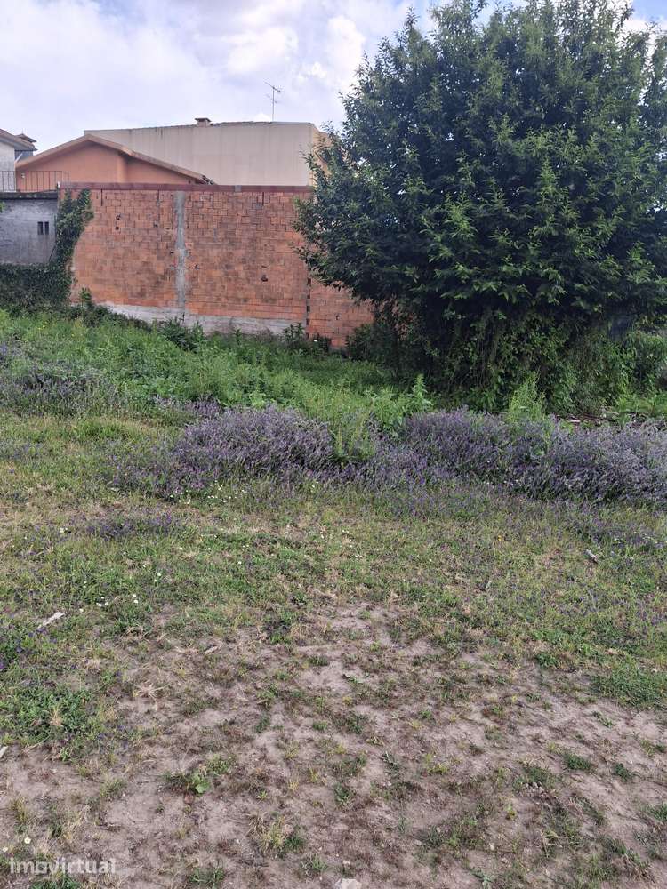 Terreno 1.770m² | Nogueira da Regedoura - Hab. Bifamiliar PIP Aprovado - Grande imagem: 3/4