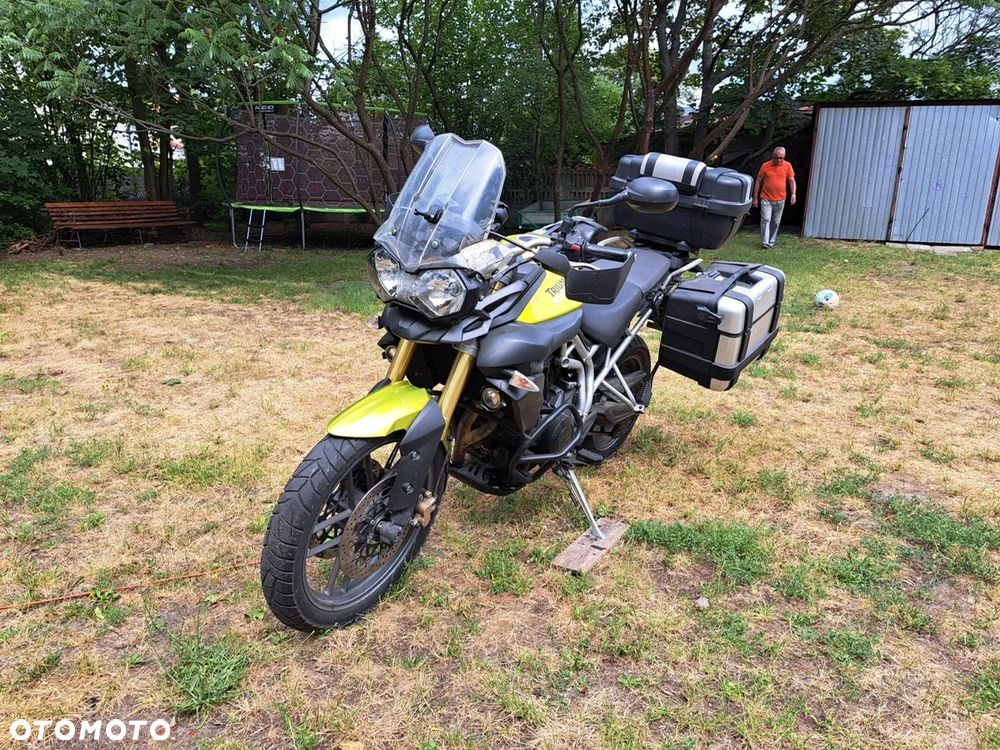 Triumph Tiger - 7