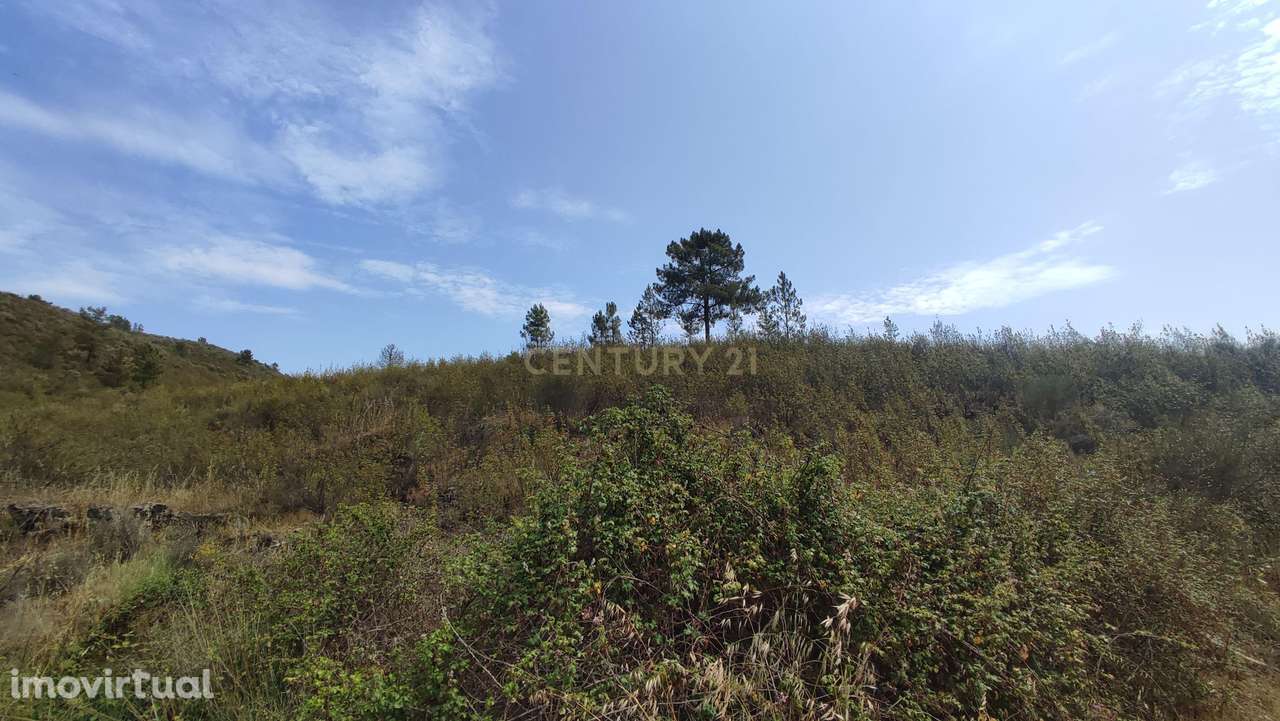 Terreno Rústico com 3,2 ha, Cebolais de Cima - Grande imagem: 3/6