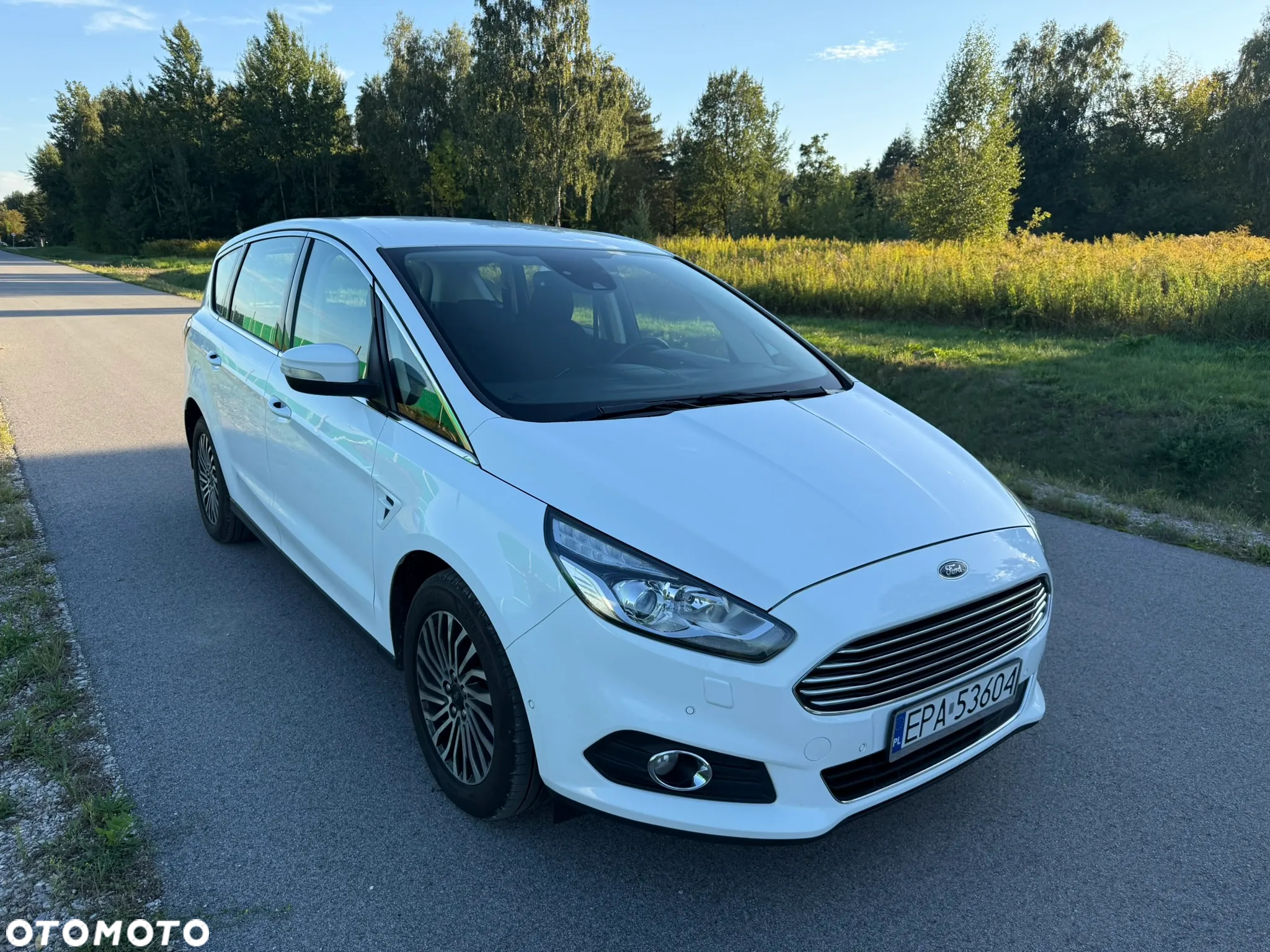 Ford S-Max 2.0 EcoBlue Titanium - 14