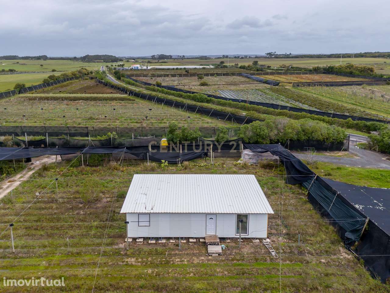 Negócio de Flores - Grande imagem: 5/24