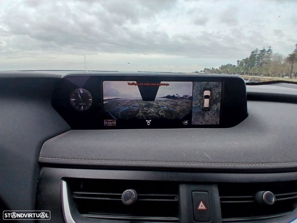 Lexus UX 300e Luxury - 11