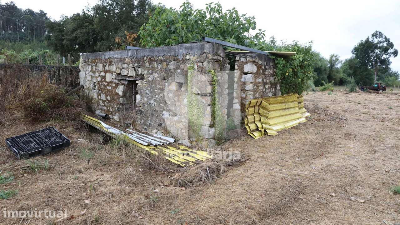 Quinta com aproximadamente 15000 m2 e moinho no coração da Bairrada