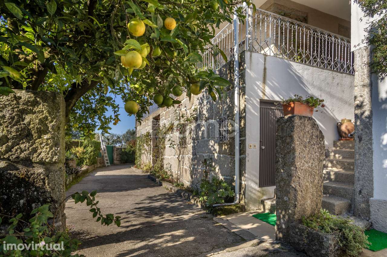 Moradia T6 - 5.000 m² de terreno Viseu - VENDA COM USUFRUTO VITALÍC... - Grande imagem: 5/53