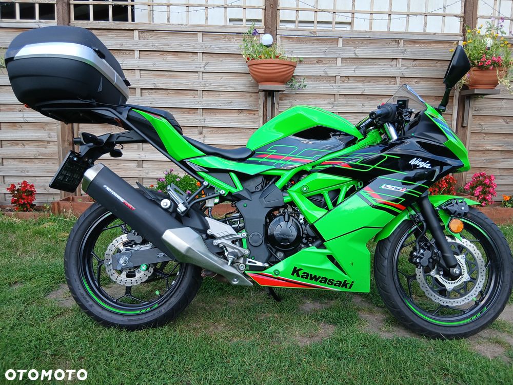 Kawasaki Ninja - 4