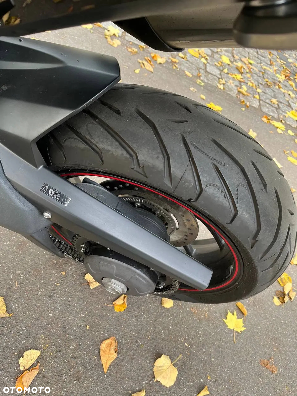 Triumph Tiger - 6