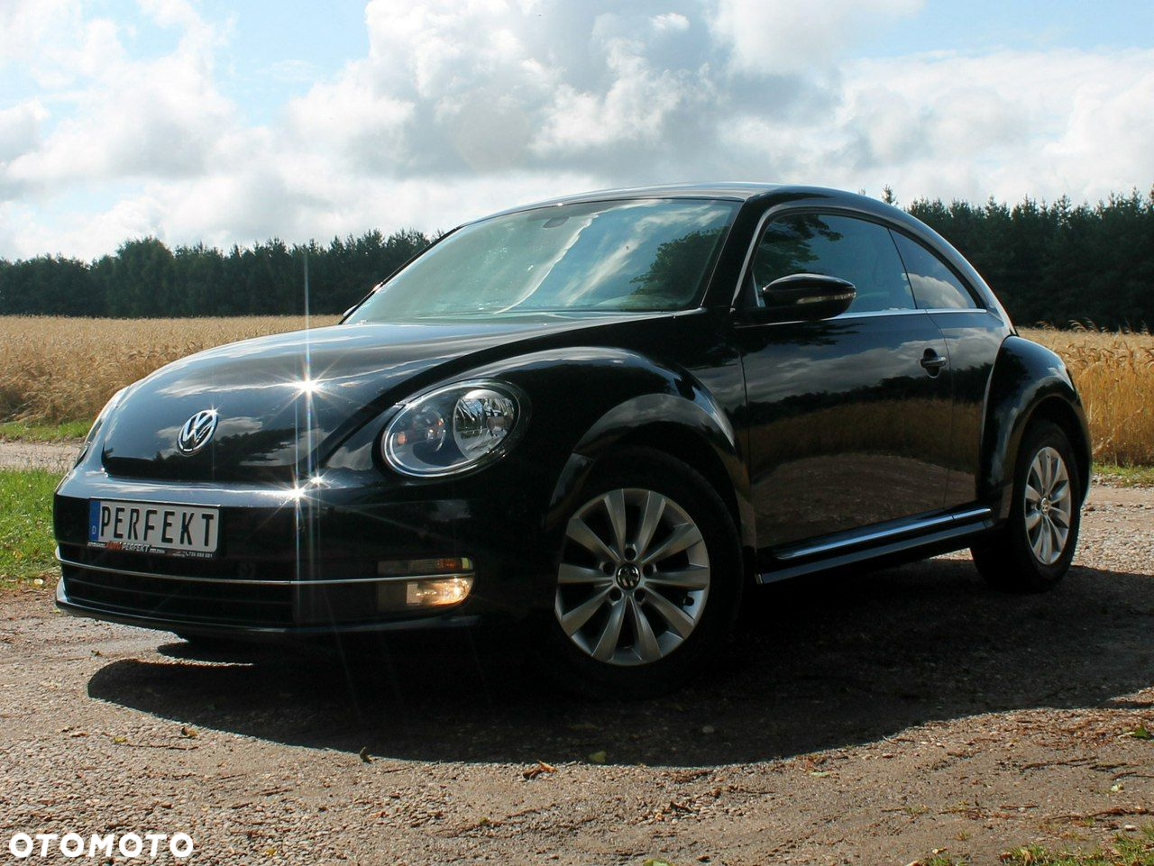 Volkswagen Beetle - 19